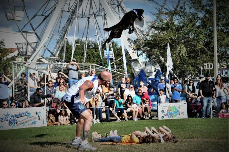 Meet Lawrence Frederick - The Frisbee Dog Guy