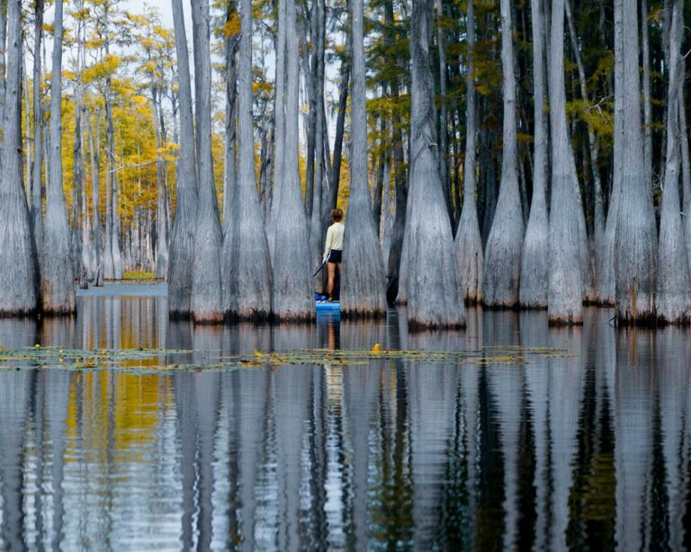 Wild Florida: Ocheesee Pond