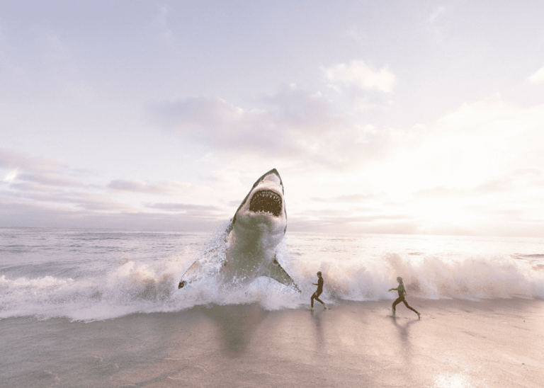 Beneath the Waves: The Sharks of Atlantic Beach, FL