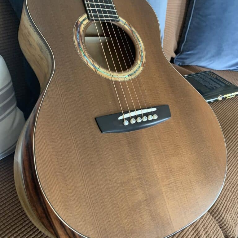 Speckman Custom Guitars - Video Spotlight