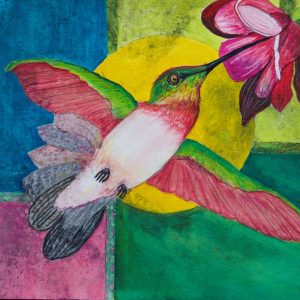 Hawkins-Humingbird-web-1