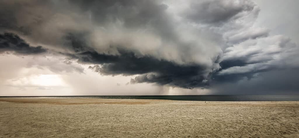 vimarisphotography.com-best-affordable-nature-wildlife-canvas-wallart-beach-photographer-ponte-vedra-beach-jacksonville-atlantic-1