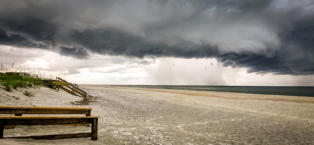 vimarisphotography.com-best-affordable-nature-wildlife-canvas-wallart-beach-photographer-ponte-vedra-beach-jacksonville-atlantic-3