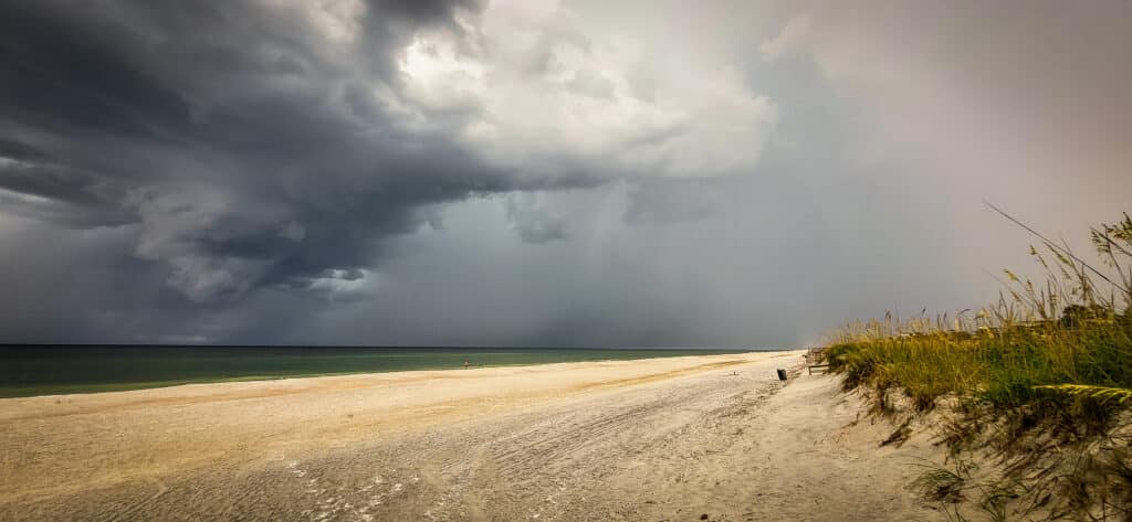 vimarisphotography.com-best-affordable-nature-wildlife-canvas-wallart-beach-photographer-ponte-vedra-beach-jacksonville-atlantic-4